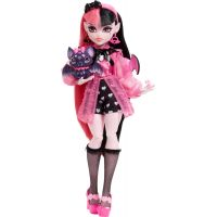 Mattel Monster High bábika Monsterka Draculaura™ 4