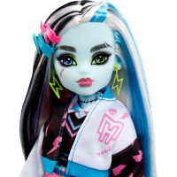 Mattel Monster High bábika Monsterka Frankie Stein™ - Poškozený obal 5