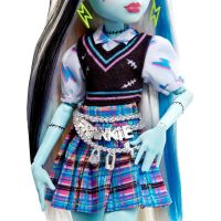 Mattel Monster High bábika Monsterka Frankie Stein™ - Poškozený obal 6