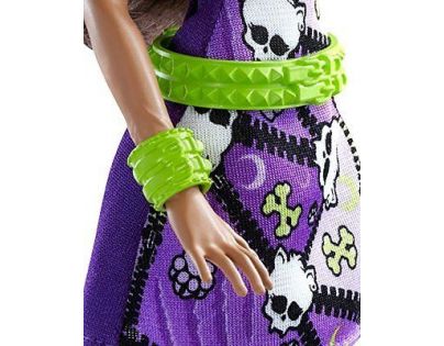 Mattel Monster High příšerka Clawdeen Wolf DWR89