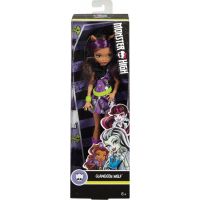 Mattel Monster High příšerka Clawdeen Wolf DWR89 6