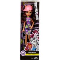 Mattel Monster High príšerka Clawdeen Wolf DWR98 6
