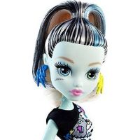 Mattel Monster High příšerka Frankie Stein DMD46 3