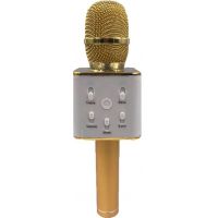 Mikrofón karaoke kov 25 cm nabíjanie cez USB zlatý 2