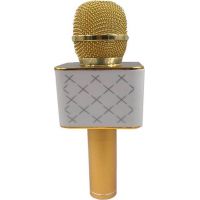 Mikrofón karaoke kov 25 cm nabíjanie cez USB zlatý 4