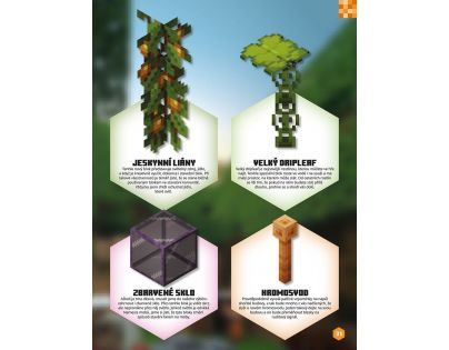 Egmont Minecraft Knížka na celý rok CZ verzia
