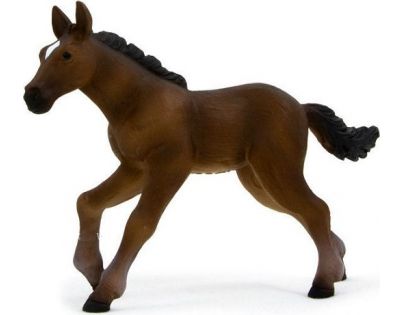 Mojo Animal Planet Hříbě Plnokrevníka