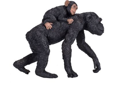 Mojo Šimpanz s mláďaťom