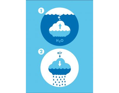 Moluk Plui Obláčik