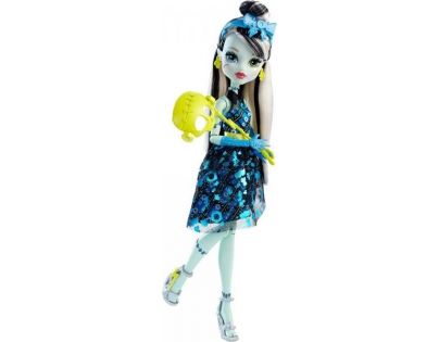 Monster High Monsterka s doplňky do fotokoutku - Frankie Stein DNX34