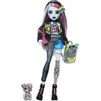 Monster High příšerka monsterka Frankie - Poškodený obal