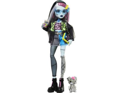 Monster High příšerka monsterka Frankie - Poškodený obal