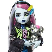 Monster High příšerka monsterka Frankie - Poškodený obal 4