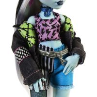 Monster High příšerka monsterka Frankie 5