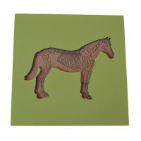 Montessori Puzzle vkladacia S kostrou koňa 6 dielikov 3