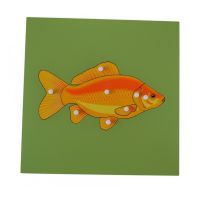 Montessori Vkladacie puzzle s kostrou ryby