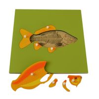 Montessori Puzzle vkladacie S kostrou ryby 8 dielikov 2
