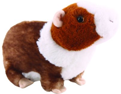 Morské prasiatko 22 cm