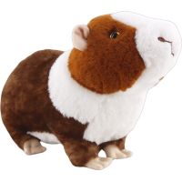 Morské prasiatko 30 cm