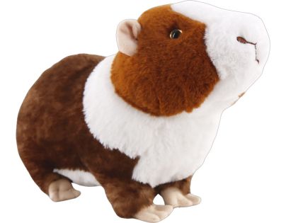 Morské prasiatko 30 cm