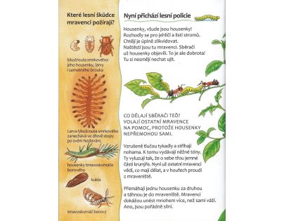 Mravenci - Poškodený obal