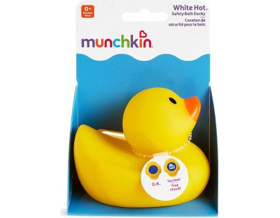 Munchkin Kačička
