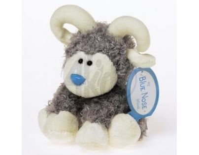 My blue nose friends – Beran