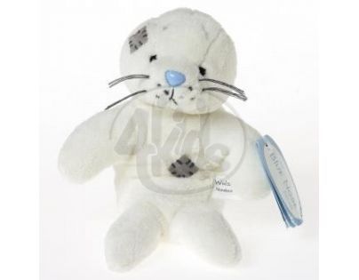 My blue nose friends Tuleň