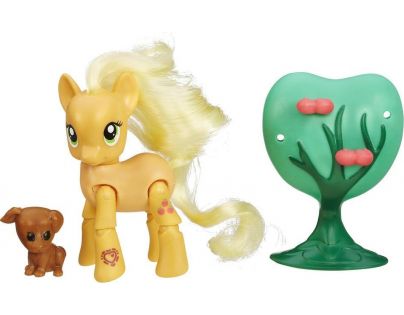 My Little Pony Poník s kamarádem a doplňky - AppleJack