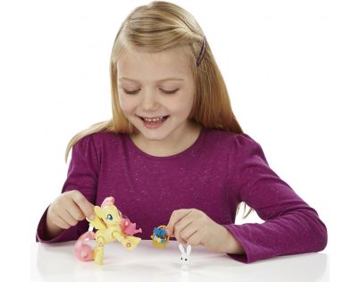 My Little Pony Poník s kamarádem a doplňky - Fluttershy
