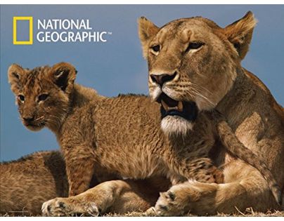 National Geographic 3D Puzzle Lvi 500 dílků