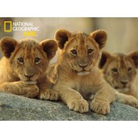 Prime 3D National Geographic Kids Puzzle Lvi 100 dílků 2