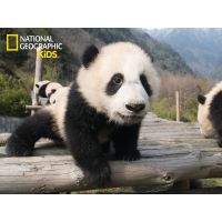 National Geographic Kids 3D Puzzle Panda 100 dielikov figúrka 2