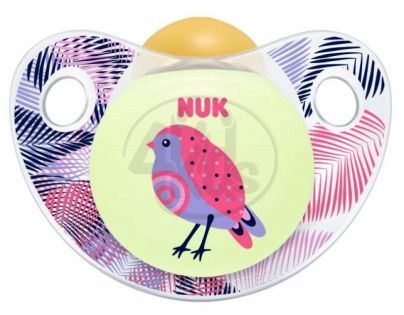 Nuk Dudlík Den a Noc 0-6m - Ptáček