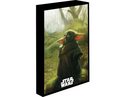 Pyramid International Star Wars Obraz LED svietiaci 30x40 cm
