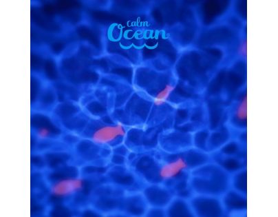 Pabobo Star Projector na batérie Calm Ocean