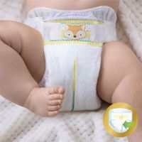 Pampers Premium Care 3 MIDI 204 ks 5-9 kg 2