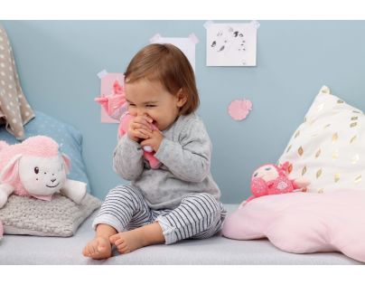 Bábika Baby Annabell Newborn Mini Soft