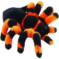 Pavúk tarantula 18 cm