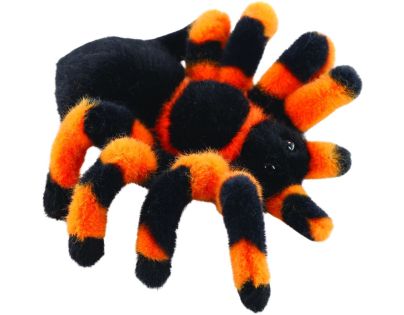 Pavúk tarantula 18 cm