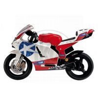 Peg Perego Ducati GP 24V Limited Edition 2