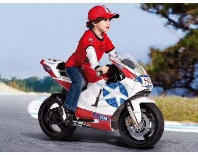 Peg Perego Ducati GP 24V Limited Edition