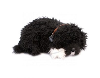 PERFECT PETZZz štěňátko Portugalský vodní pes