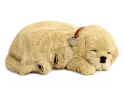 PERFECT PETZZz štěňátko Retriever