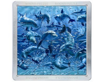 Piatnik 3D Magnetické puzzle - Delfíni