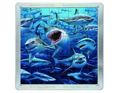 Piatnik 3D Magnetické puzzle - Žraloci