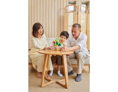 Plan Toys Balancujúci kaktus