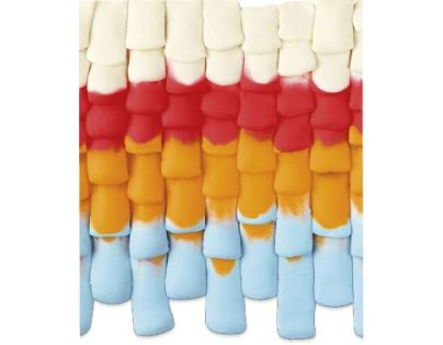Play-Doh Animals Kvokajúce kura