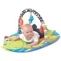 Playgro Hrací podložka Dinosaurus 4