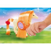 Playmobil 5656 Přenosný box Česací koník 3
